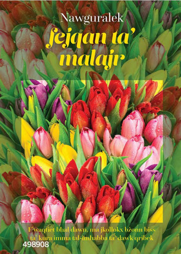 Picture of NAWGURALEK FEJQAN TAMALAJR CARD